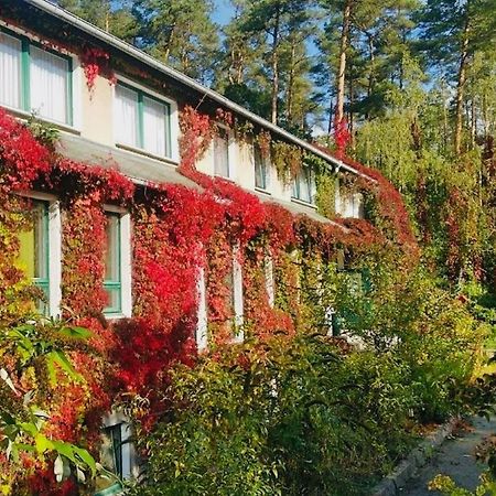 Pension Zur Fledermaus Варен Экстерьер фото